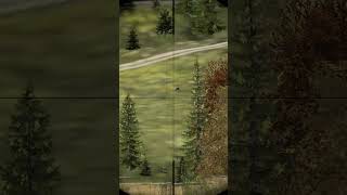 800m shot but dayz [upl. by Atsahs849]