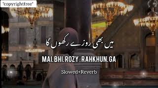 Main bhi rozy rakhun gaRamzan SpecialSlowed and ReverbCopyrightfree [upl. by Adnawyt]