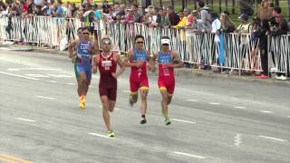 2015 ITU World Triathlon Chicago  Elite Mens Highlights [upl. by Raveaux]