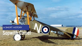 Sopwith F1 Camel  A Short History [upl. by Yemrots]