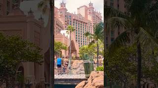 Atlantis Paradise in Bahamas Who would you go with travel bahamas atlantis vacation foryou [upl. by Paradies1]