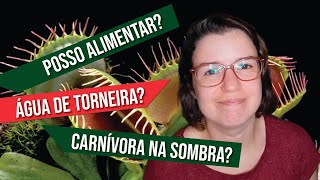 AS MAIORES DÚVIDAS DE UM INICIANTE  PLANTAS CARNÍVORAS [upl. by Macknair]