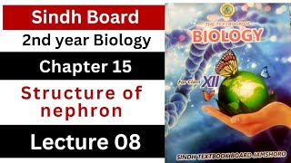 structure of nephron  homeostasis  class 12 biology Sindh board New book  biology new book [upl. by Euginomod]