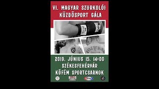 VI Magyar Szurkolói Küzdősport Gála [upl. by Anirres]