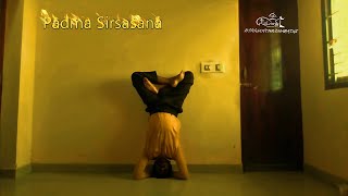 Yoga for Physical and Mental Strength [upl. by Pond69]