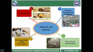 O33ICAZ2024Recuperative effects of herbal feed supplement in freshwater fish [upl. by Brinn]