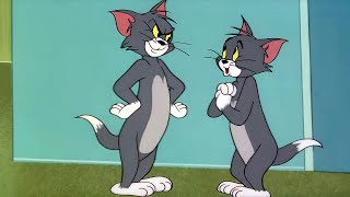 Tom and Jerry  Episode 106  Timid Tabby AI Remastered tomandjerry remastered 1440p [upl. by Callahan]