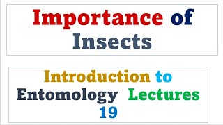 Importance of Insects  entomology [upl. by Eifos775]