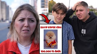 KÖPEĞİMİZ KAYBOLDU  Bulana 100000 TL Ödül  Dolandırıldık [upl. by Lleruj954]