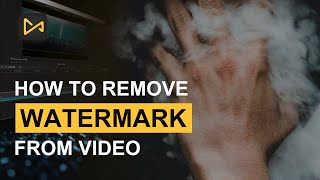 How to Remove Watermark from Video 2021 3 Ways [upl. by Jamille]