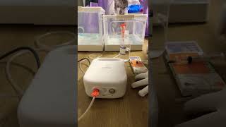 KITTENS LOVE This Nebulizer Trick 😻 Part 2 [upl. by Adne]