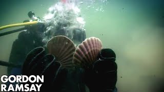 HandDiving for Scallops  Gordon Ramsay [upl. by Nitniuq]