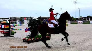 Horse show jumping falls compilation [upl. by Iverson]