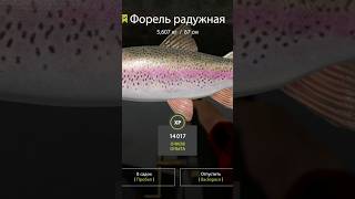 rf4 рр4 fishing рр4фарм русскаярыбалка4 [upl. by Asseret]