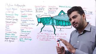 Phylum Arthropoda  jointed legs  Appendages biologywithmuhammadsajid FSc Alevel BS Students [upl. by Lounge]