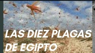 Las diez plagas de Egipto desde la exégesis y la cosmovisión [upl. by Gearard]