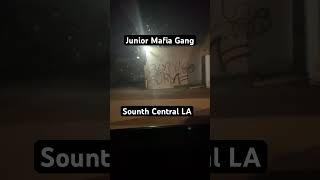 108th St amp Vermont Avenue  JRM GANG  South Central LA [upl. by Weinhardt42]