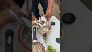 MIRA como preparar un ceviche de ostion a orillas del mar OSTRAS OSTIONES SHORTS [upl. by Yahsram]