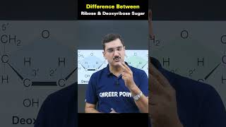 Difference between ribose and deoxyribose sugar biology shortvideo kotacoaching neet knowledge [upl. by Airpal]