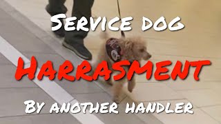 HARASSMENT by another SERVICE DOG handler [upl. by Gram929]