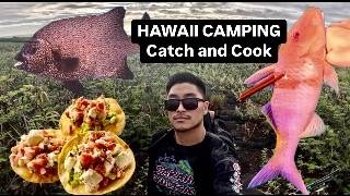 Epic camping adventure Fishing and diving for our next meal  CATCH COOK CREATE [upl. by Saville]