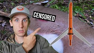 Deer Hunting with WORLDS BIGGEST BROADHEAD WOW [upl. by Anelet]