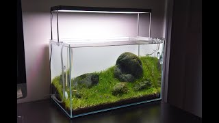 Minimalist Hakkai Stone Iwagumi Aquarium [upl. by Jehiel]