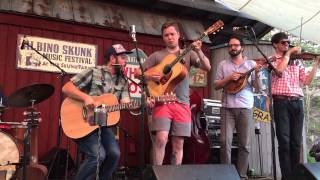 The Dustbowl Revival w Billy Strings at Albino Skunk Fest [upl. by Kadner]