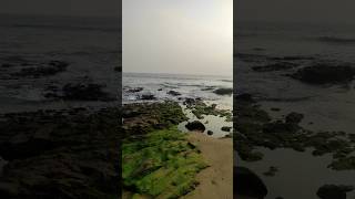 Vizag beach 🏖️⛱️ vizag vizagbeach vishakapatnam rkbeach trendingshorts trendingreels [upl. by Ayirp141]