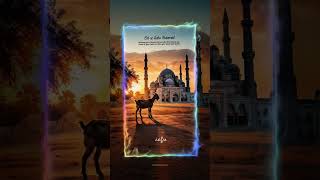 Eid mubarak status 2024  eid ul adha 2024 eid shorts shortvideo viralvideo viral eiduladha [upl. by Hendrix811]