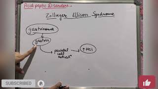 Zollinger Ellison syndrome  Acid Peptic Disorders  Kayachikitsa  Geetaru Shanjalii  Ayurveda [upl. by Juliane267]