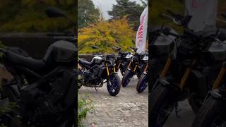 ALL NEW 2024 YAMAHA MT09 SP 2024 mt09 yamahamt09 yamaha [upl. by Isis499]