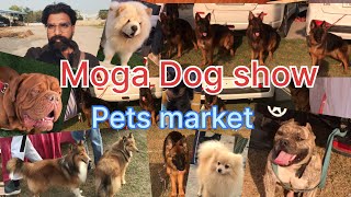 Moga Dog Show full vlog biggest and cheapest Dog market Moga Punjab [upl. by Laira]