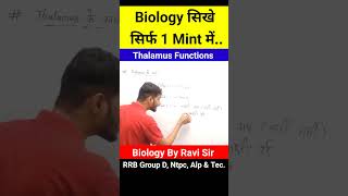 Parts Of Brain  Thalamus Function  Biology GK  Biology By Ravi Sir biology shorts yt gk [upl. by Ambler]