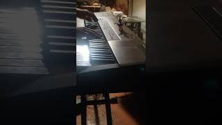 Dynamic Duologues 6 🦸🦹 Paul and Bob 🎹🎹🌬️ 🎃👻🍁☃️ 👀 👉 thefullerzonecom 👈 💥📖 daily 255 piano improv [upl. by Cad729]