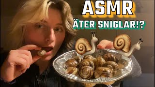 ASMR på svenska snigel mukbang [upl. by Jory792]