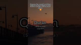 Surah tauba ayat 2314✨Quwatul imanquran quranurdu iman deeneislam urdutranslation quwatuliman [upl. by Macnamara]