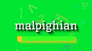 How to say quotmalpighianquot High Quality Voices [upl. by Idaline]