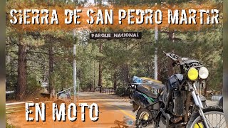 VISITO LA SIERRA DE SAN PEDRO MARTIR [upl. by Akins]