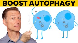 The 7 Powerful Ways to Increase Autophagy [upl. by Georgianna]