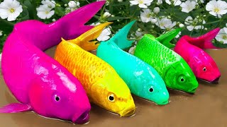 Satisfying Pink Fish Spotted Koi Purple Eel  Cute Crocodile Giant Skeleton Godfish Pacman Motion [upl. by Gilges41]