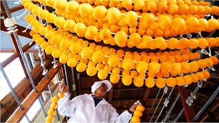 Japan Dried Persimmon Processing  Amazing Asia Agriculture Fruit Harvesting [upl. by Happ]