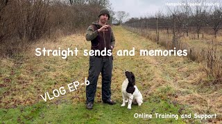 Training my English Springer spaniel puppy Billys Vlog Ep6 [upl. by Irbmac]