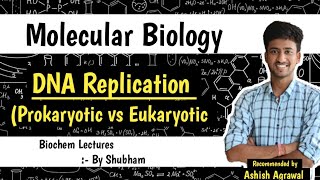 Differences In Prokaryotic amp Eukaryotic DNA Replication  Molecular Biology  Biochemistry lec [upl. by Whitnell]