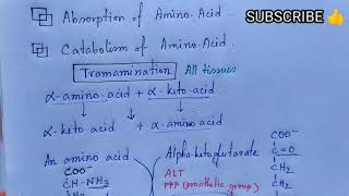 Transamination  Transdeamination of Amino Acids  Note  MEDU [upl. by Sone]