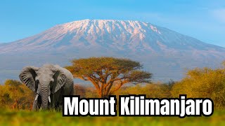 The African Highest Mountain  Exploring Mount Kilimanjaro  Northern Tanzania Adventure [upl. by Pattani]