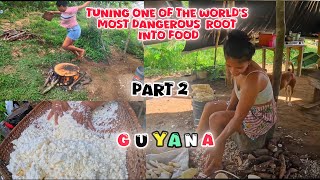 Guyana  Turning One of the Worlds Most Dangerous Root into Food Part 2  EP 16 [upl. by Morel529]