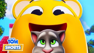 The Best Of The Pets 😍🏅 Talking Tom Shorts Compilation [upl. by Ramraj2]