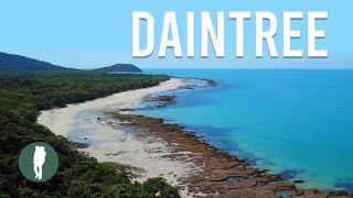 Daintree Rainforest Tropical North Queensland Australia Nature [upl. by Anilok]