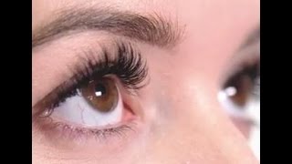 Introducing SVS Lash Extensions  Speed Up Your Volume Lashes [upl. by Eifos741]